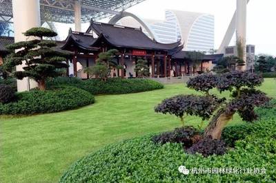 绿意云端，国博新境 杭州国际博览中心屋面园林绿化工程荣膺金奖纪实