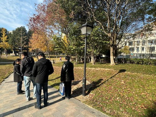 余姚市望湖公园绿化补植工程顺利通过验收，城市生态景观再添新绿