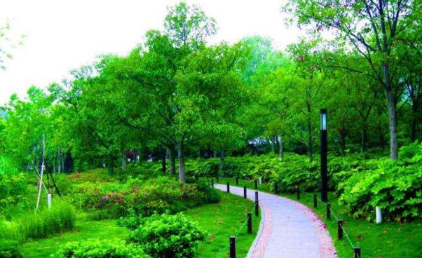 城市园林环保绿化工程施工中的植物养护策略