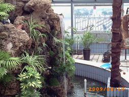 园林绿化工程 美化环境，一呼百应