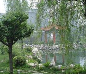 上海园林绿化工程施工及报价指南